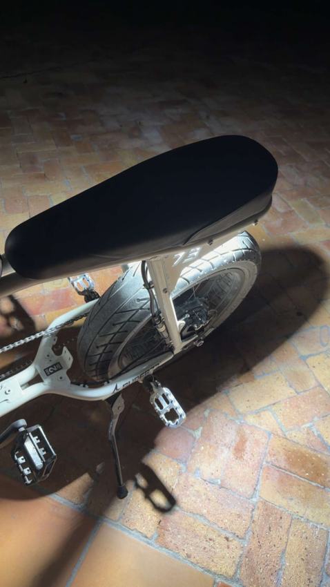 Customer ebike build with WFD parts
